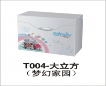 東帝T004大立方夢幻家園